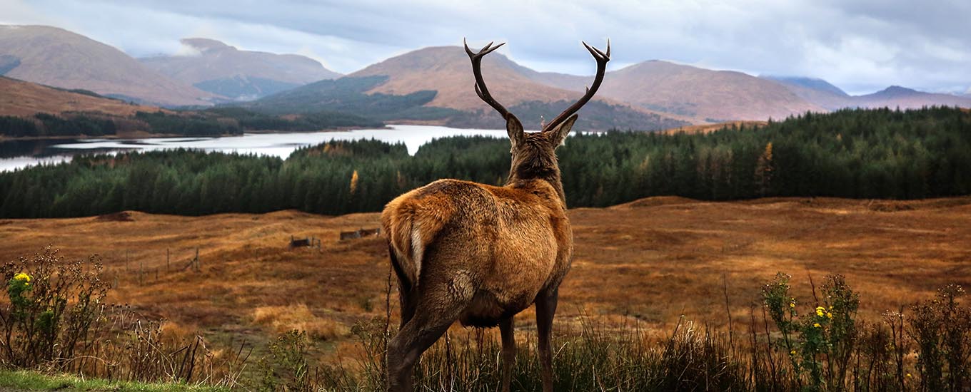 Ontwerp zonder titel – 1