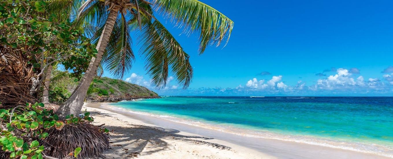 Jouw alineatekst – 1