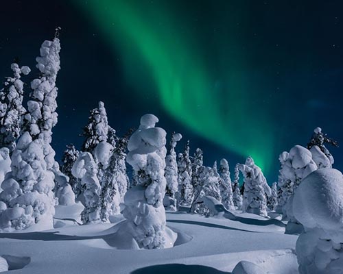 The Nothern Light – 1